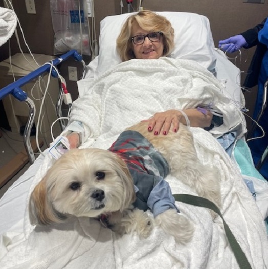 Rosann Monaro in the hospital, being visited by pet therapy dog, Primo.